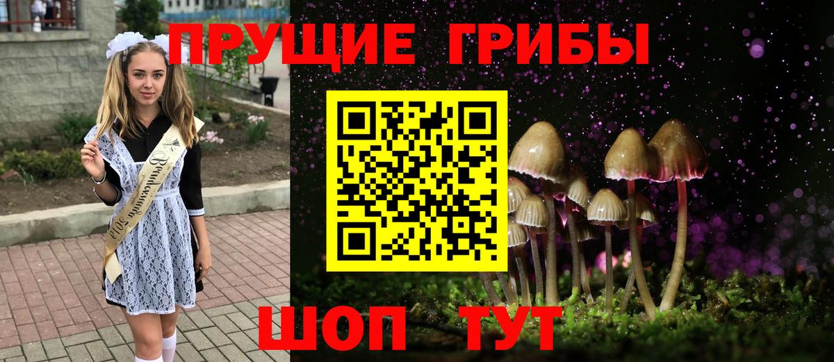 Сланцы  Галлюциногенные грибы Psilocybine cubensis  Вход с VPN 